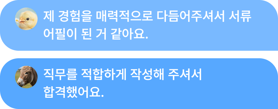 실제 합격으로 이어지는 경험 증명
